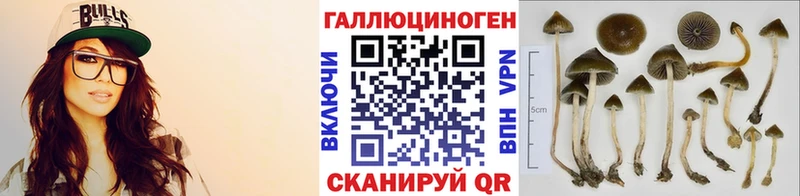 Псилоцибиновые грибы MAGIC MUSHROOMS где найти наркотики Скопин