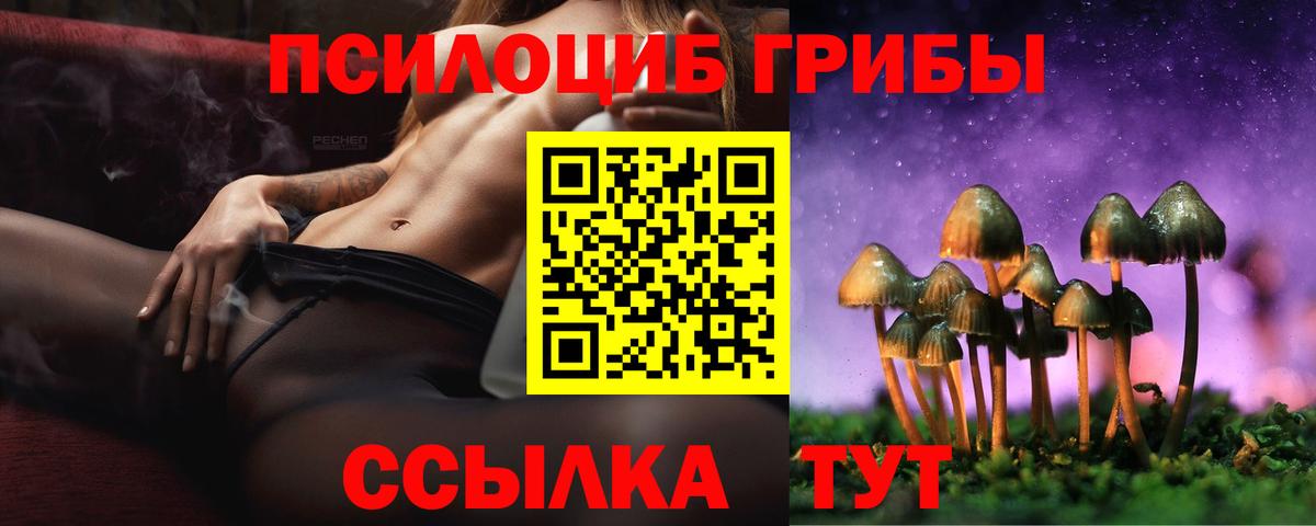 Псилоцибиновые грибы MAGIC MUSHROOMS  Вход с VPN  Скопин 